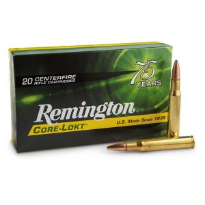 Gavmild Kemiker i dag Remington CORE-LOKT, .30-06 Springfield, PSP, 180 Grain Of 500 Rounds -  Ammunitionstoreonline